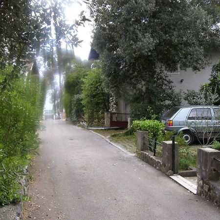 Apartment In Petrcane/Zadar Riviera 7866 المظهر الخارجي الصورة