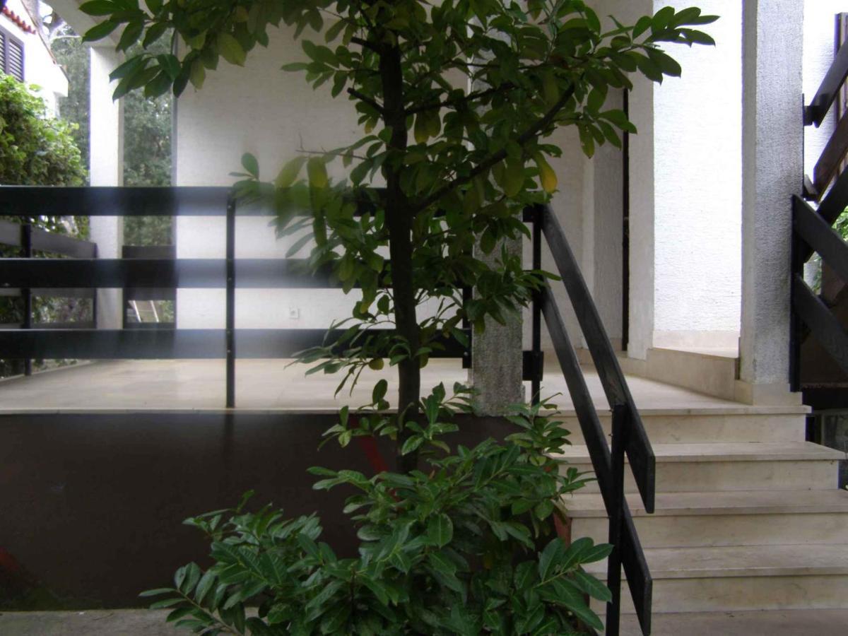 Apartment In Petrcane/Zadar Riviera 7866 المظهر الخارجي الصورة
